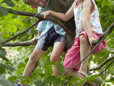  to børn i et træ